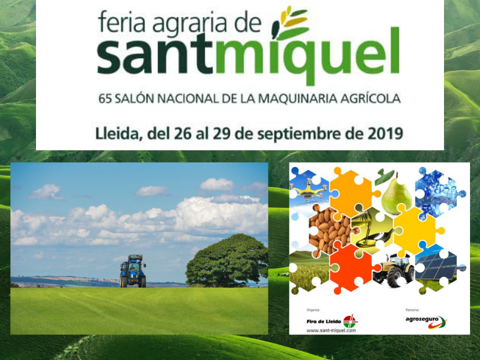 Feria Agraria Sant Miquel