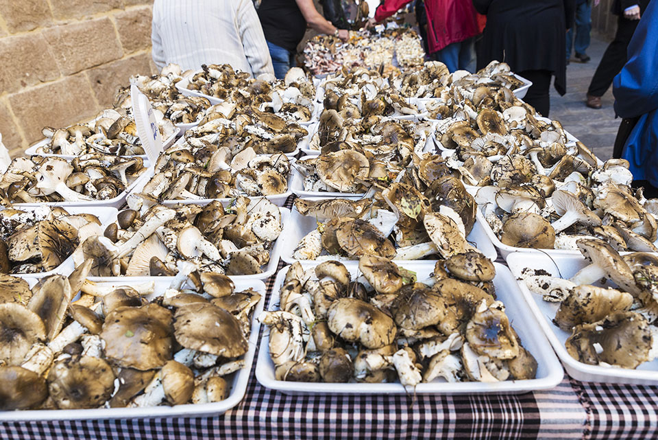 Prepárate para ir a la Feria de la Seta en Llagostera 