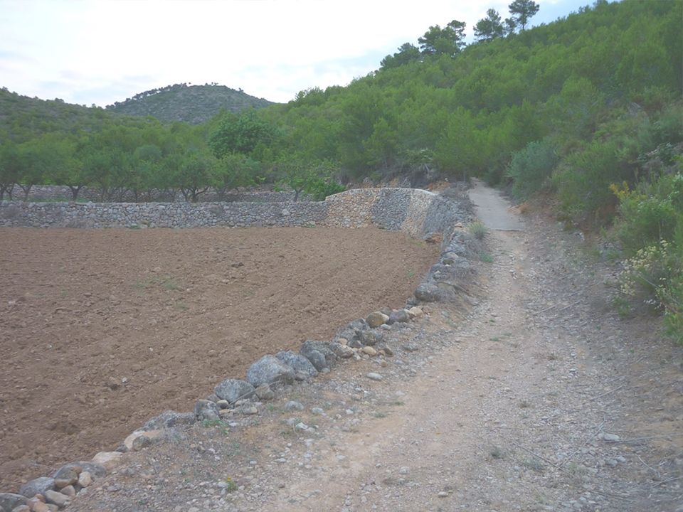 Camino de la Meixa, La Bisbal