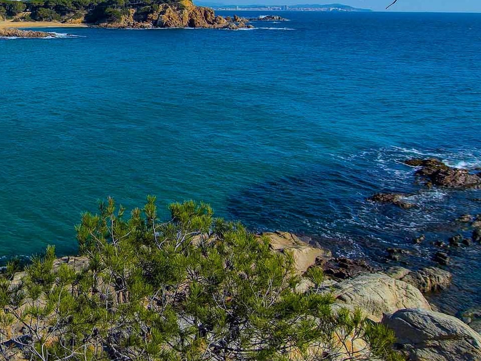 Platja d'Aro, para disfrutar del mar