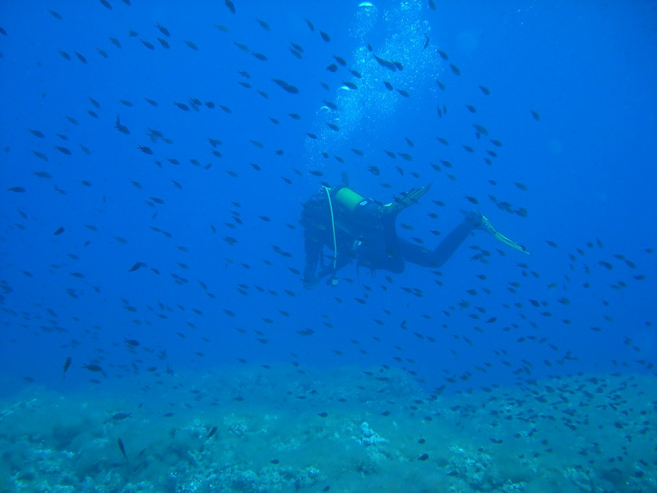Snorkelling y submarinismo, actividades reinas en las Islas Medas